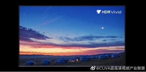 中国国产在视频