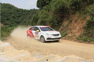 国产拉力进藏实测视频,国产拉力车进藏实测，一路风光与挑战并存