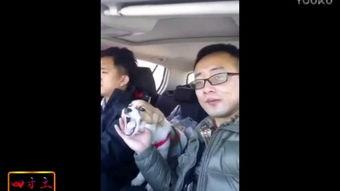 国产恶心视频在线,网络阴暗角落的惊悚真相