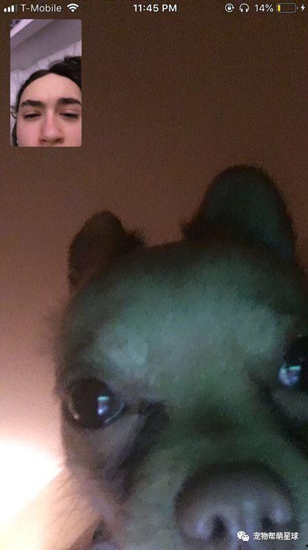 国产女朋友睡着了视频,温馨瞬间捕捉心动瞬间