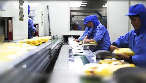 国产卫生巾加工视频,匠心独运，呵护女性健康